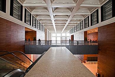 UE5引擎开发 生存游戏新作《Rooted》公布原型视频