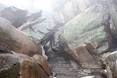 虎年添喜气！《命运2》春节为中国玩家送惊喜