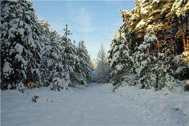 《消逝的光芒：困兽》中文配音实机宣传片 8月发售